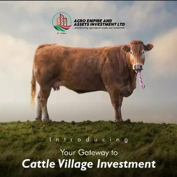 cattle village image